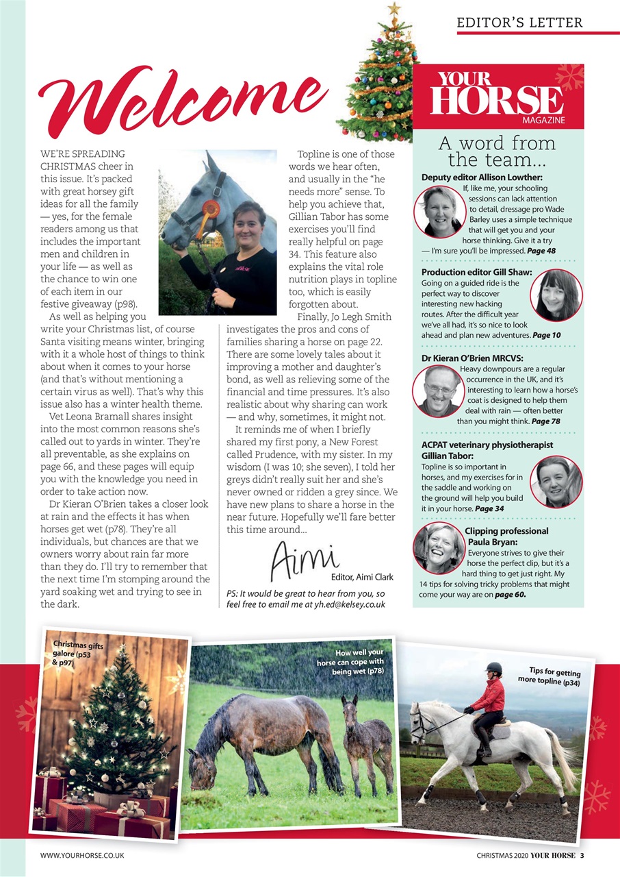 Your Horse Preview Pages