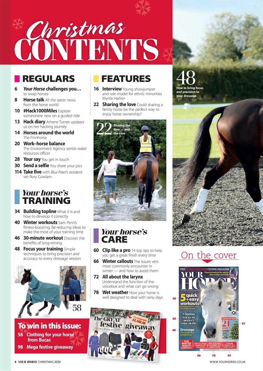 Your Horse Preview Pages