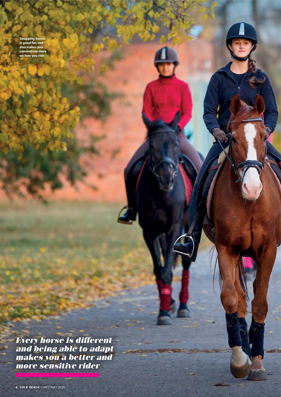 Your Horse Preview Pages