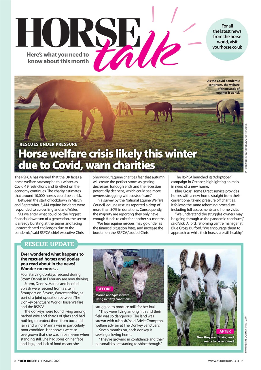 Your Horse Preview Pages