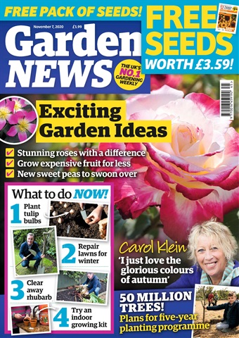 Garden News issue 03/11/2020