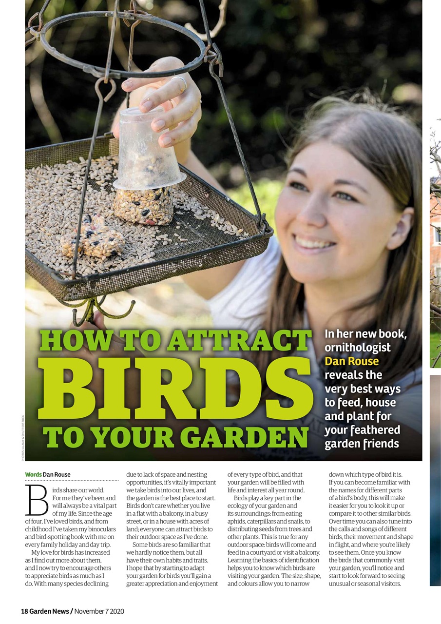 Garden News Preview Pages