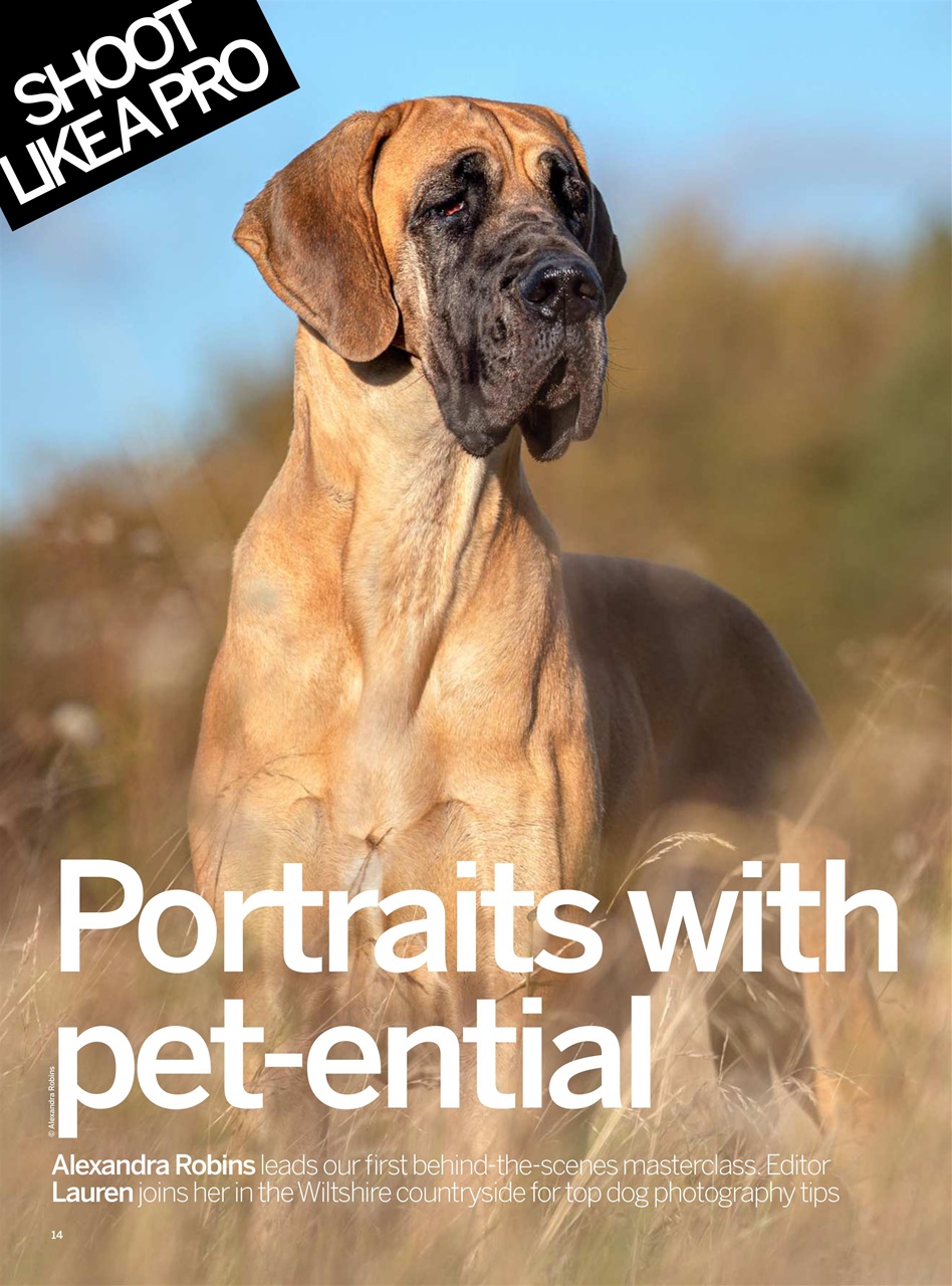 Digital Photographer Preview Pages