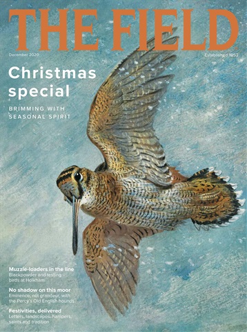 The Field issue Dec-2020