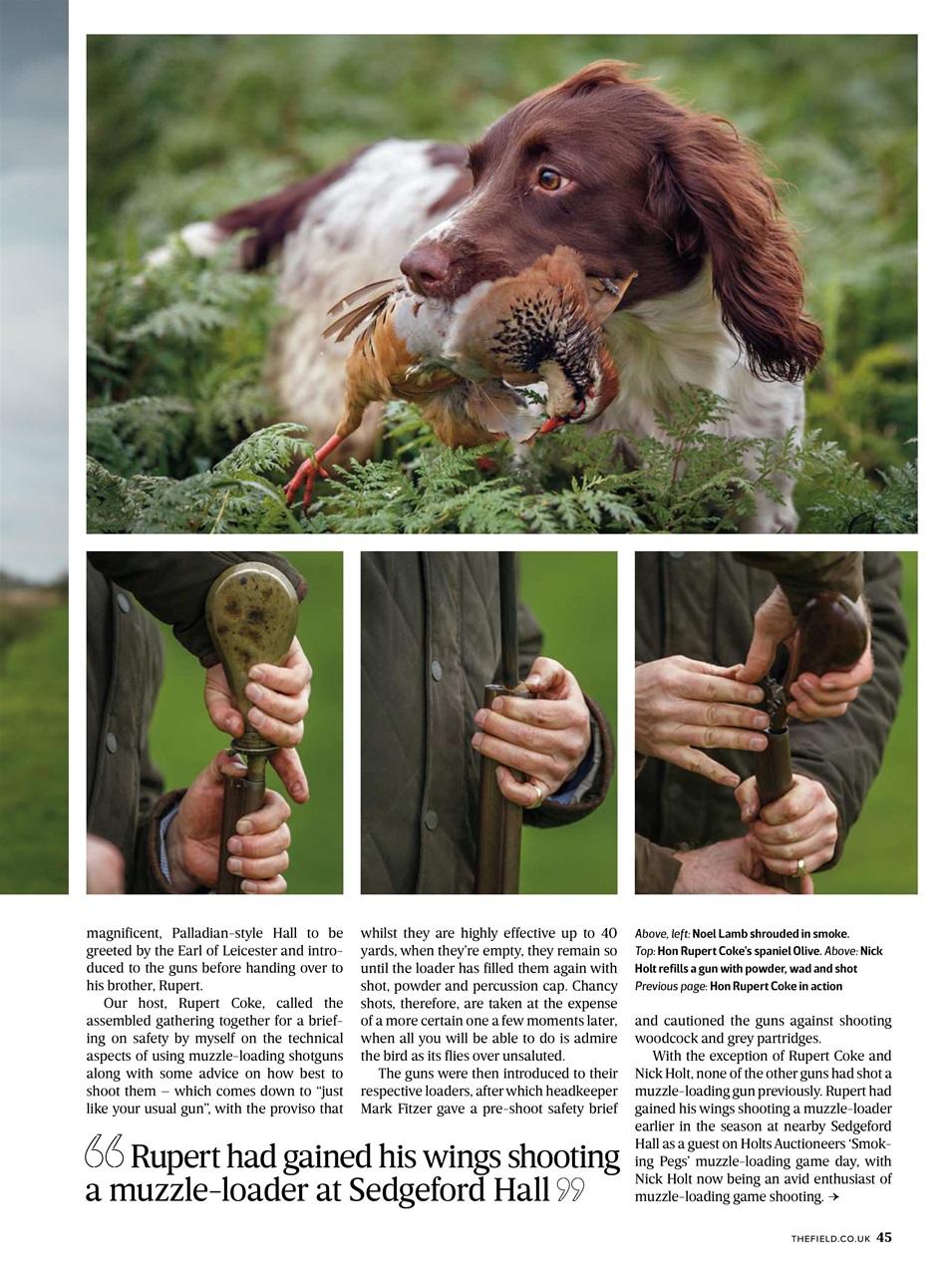 The Field Preview Pages