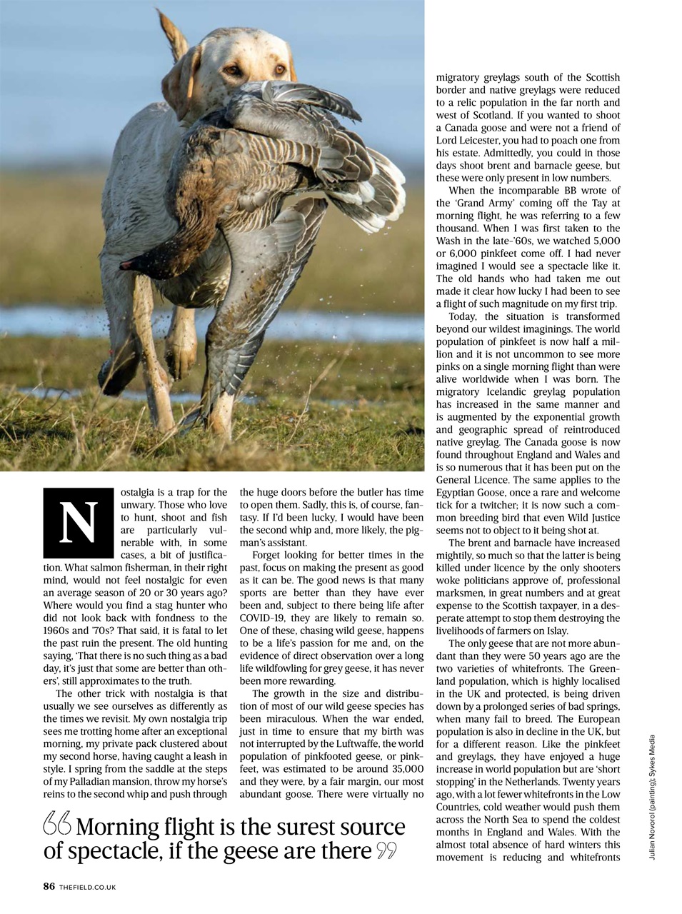 The Field Preview Pages