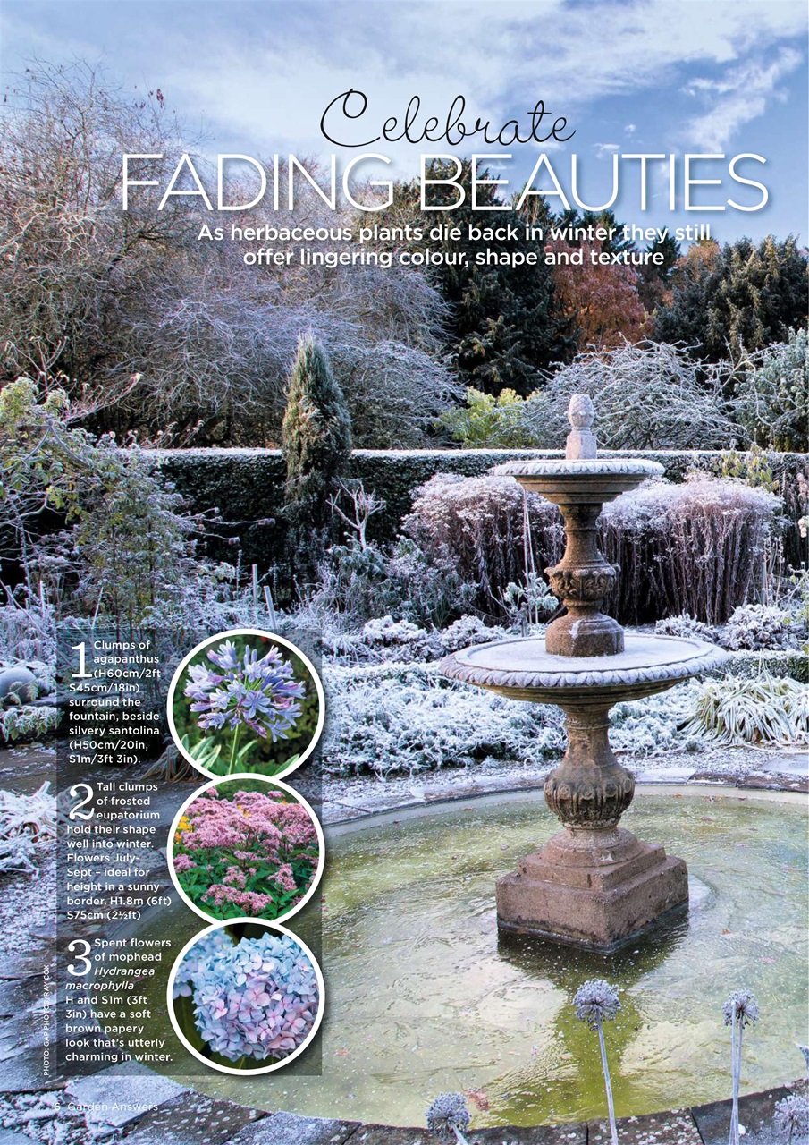 Garden Answers Preview Pages