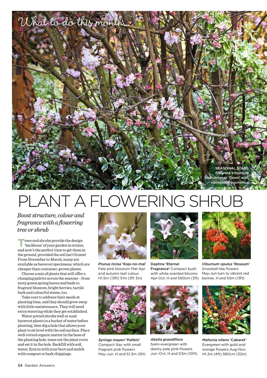 Garden Answers Preview Pages