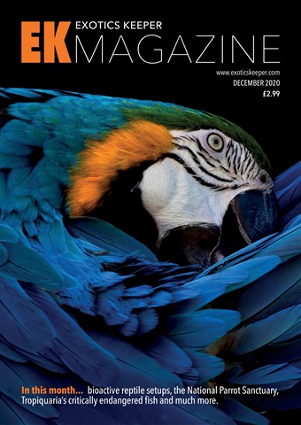 Exotics Keeper issue December 2020