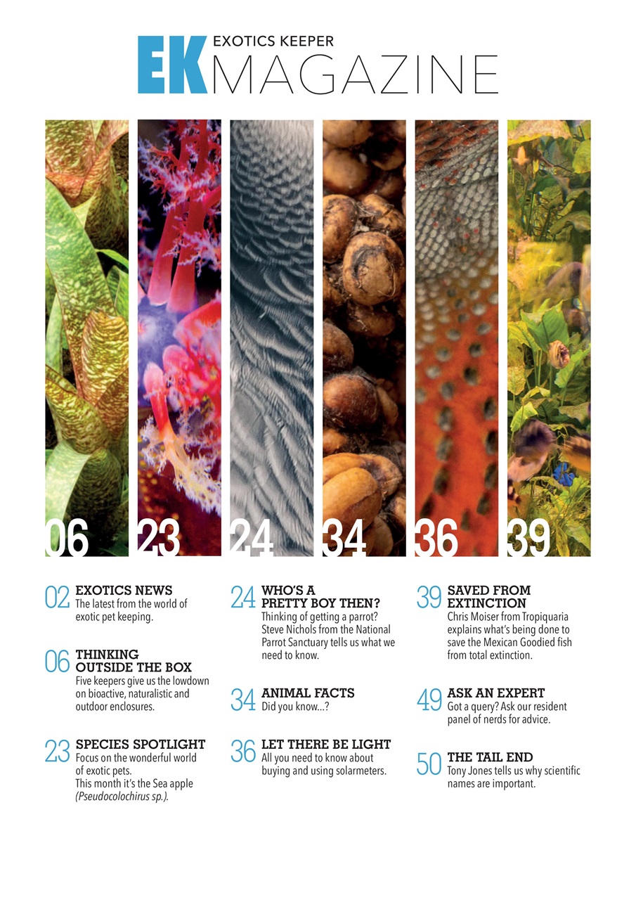 Exotics Keeper Preview Pages