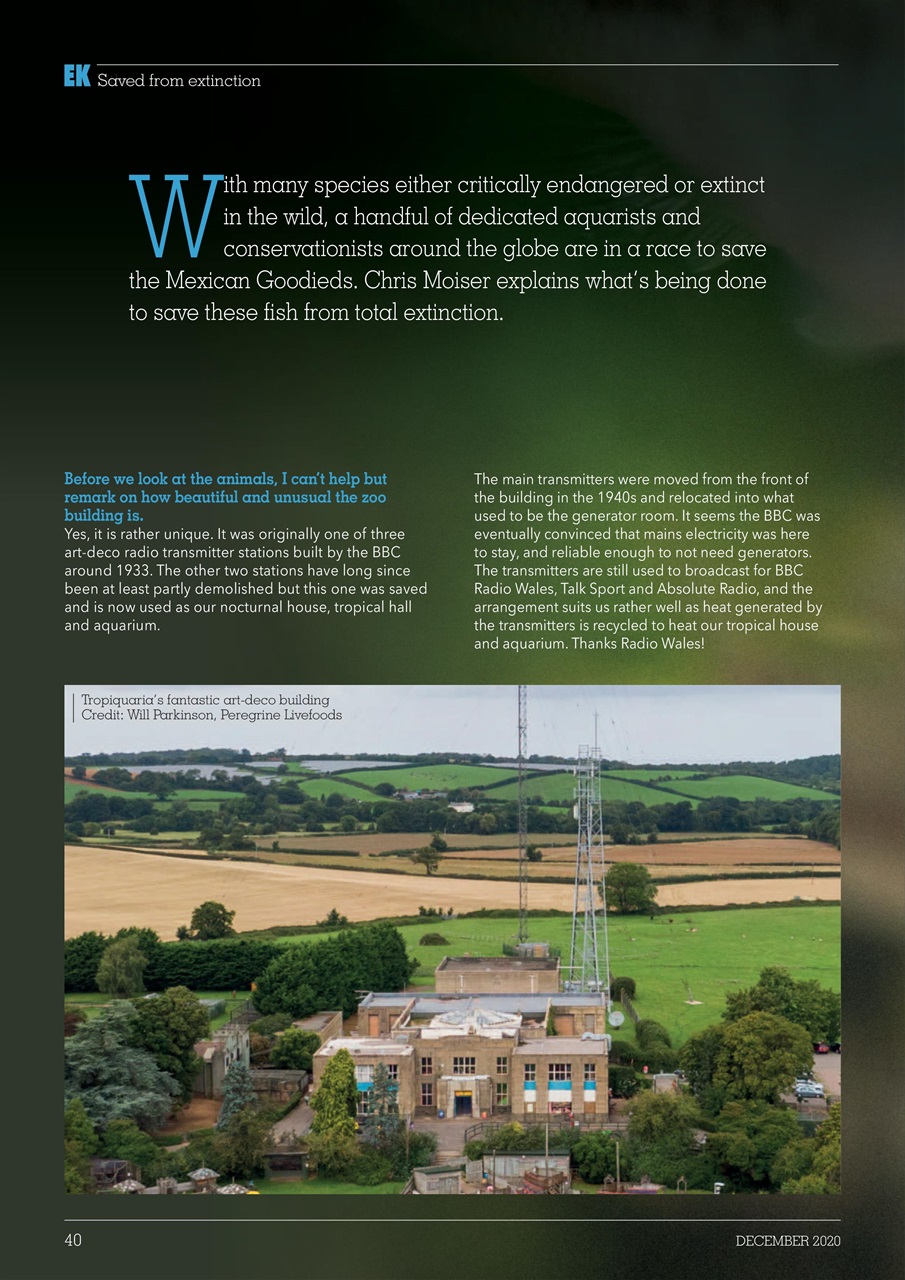 Exotics Keeper Preview Pages