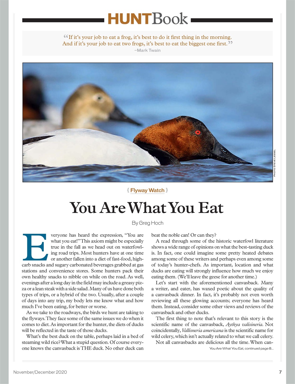 American Waterfowler Preview Pages