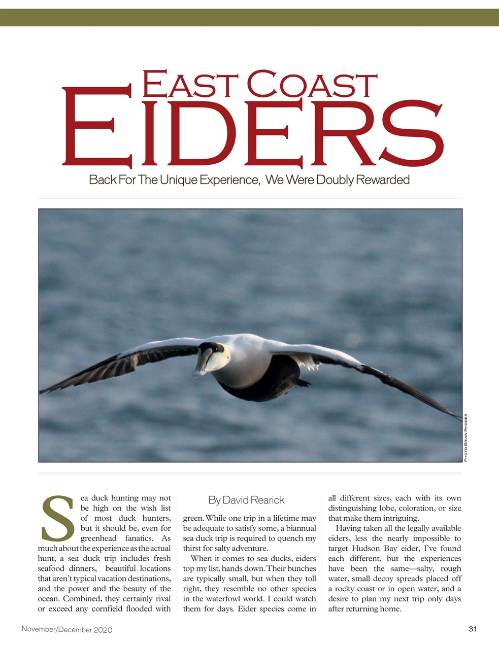 American Waterfowler Preview Pages