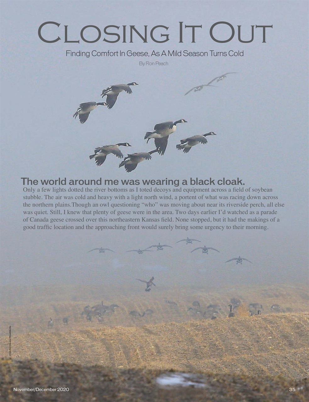 American Waterfowler Preview Pages