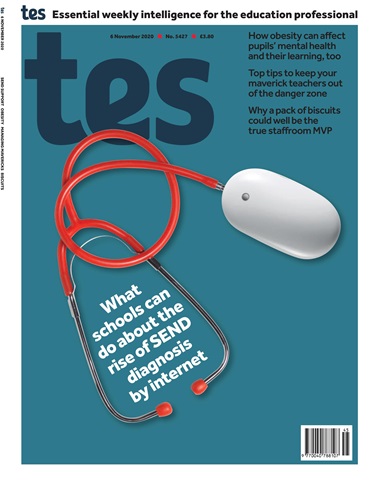 TES issue 06 Nov 2020