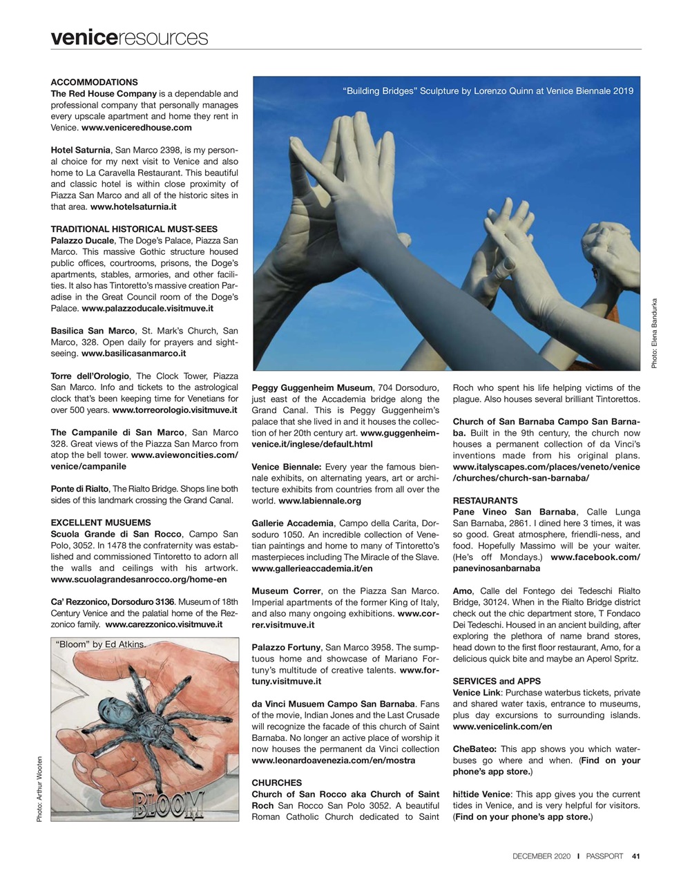 Passport Preview Pages