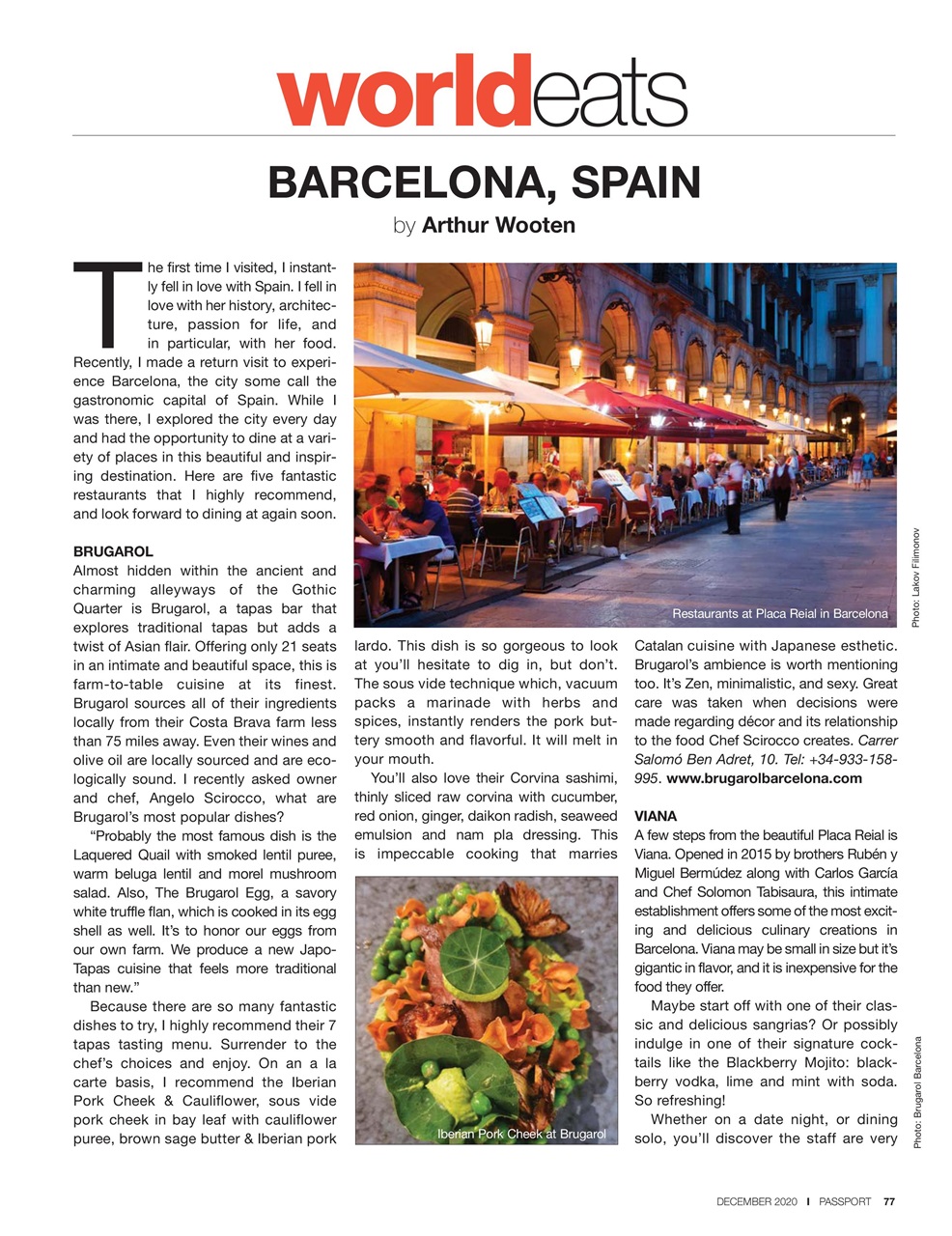 Passport Preview Pages