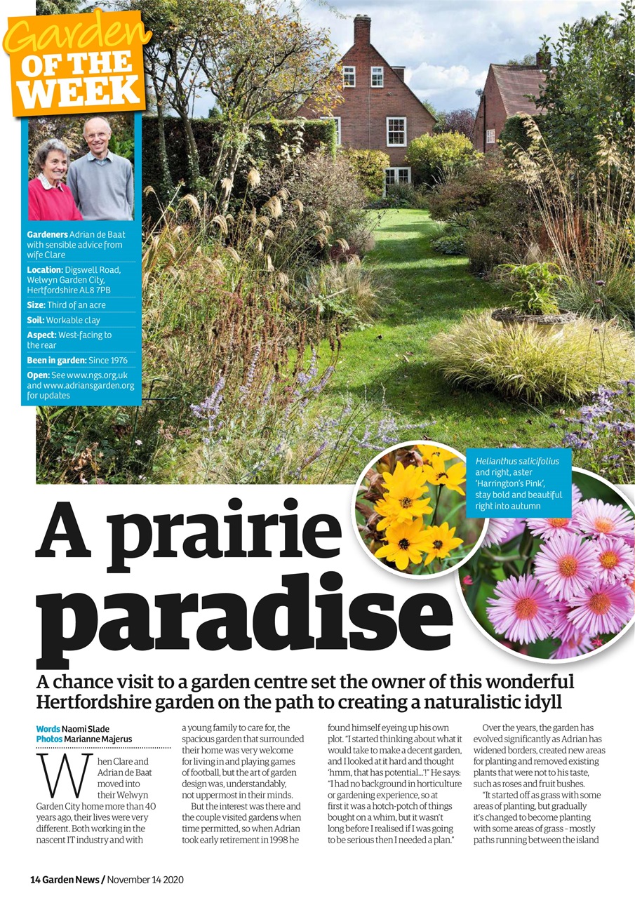 Garden News Preview Pages
