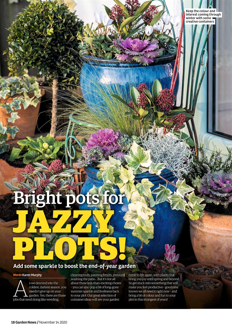 Garden News Preview Pages
