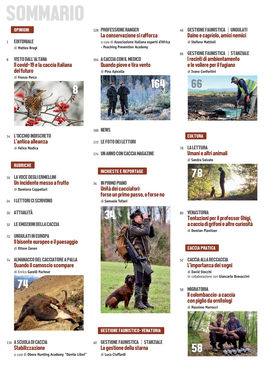 Caccia Magazine Preview Pages