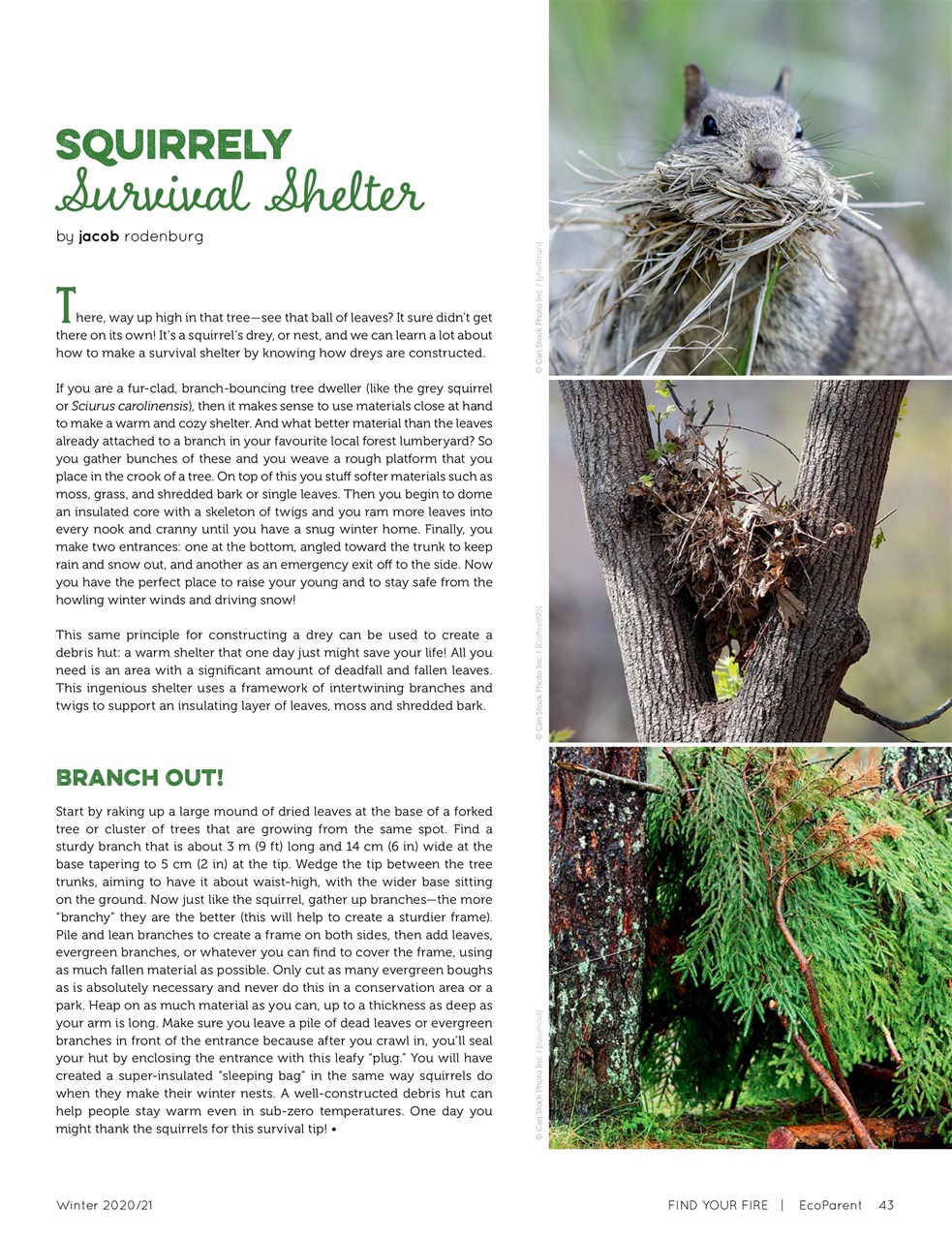 Ecoparent Magazine Preview Pages