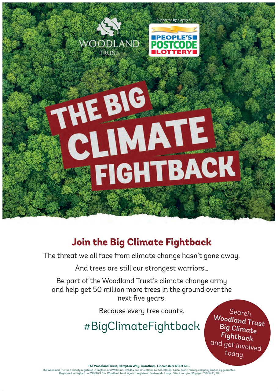 Private Eye Preview Pages