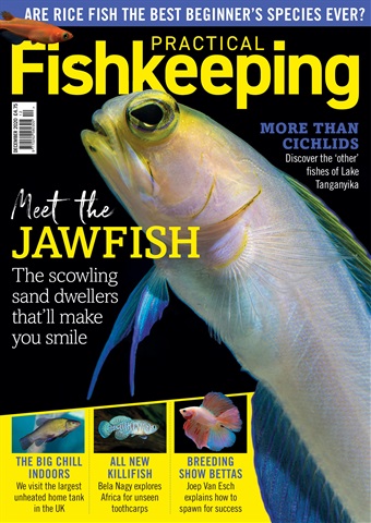 Practical Fishkeeping issue Practical Fishkeeping Magazine December 2020
