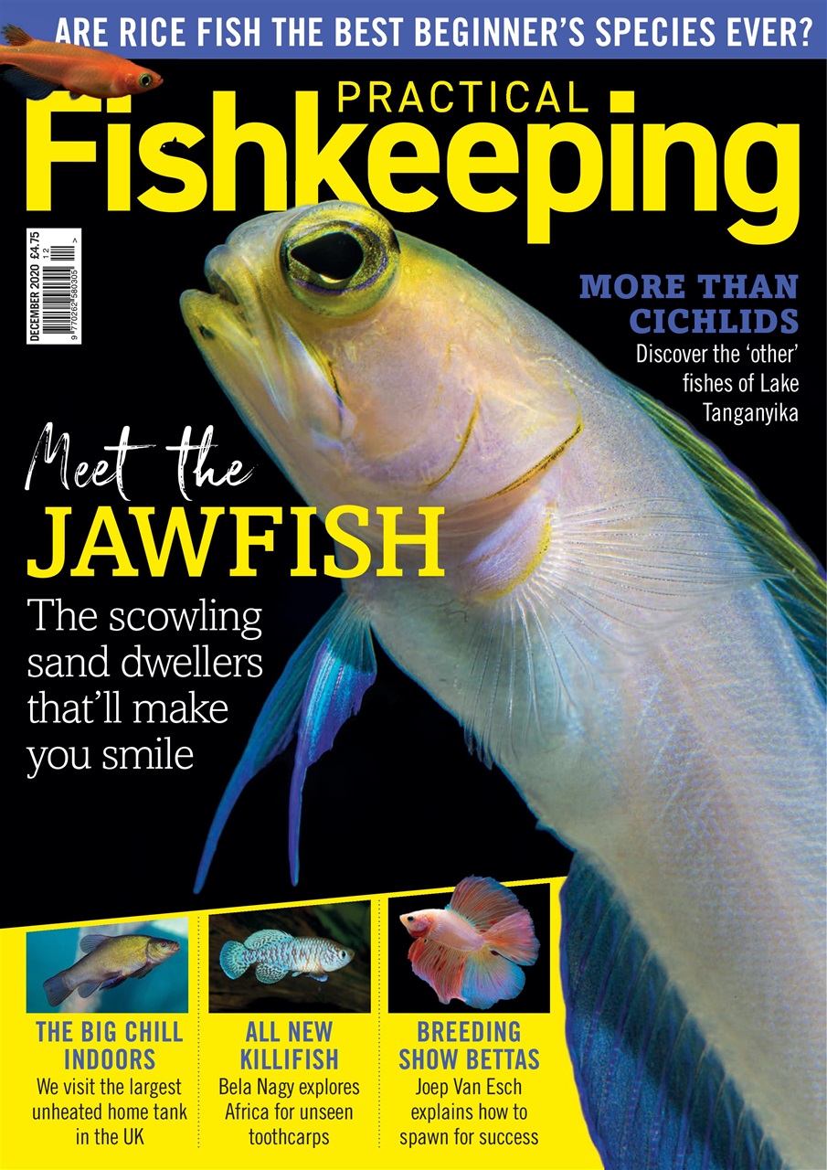 Practical Fishkeeping Preview Pages