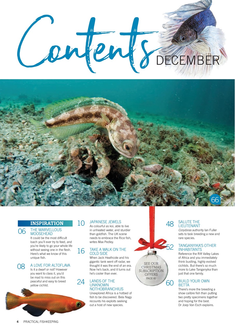 Practical Fishkeeping Preview Pages