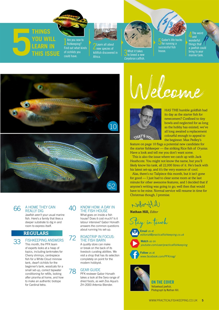 Practical Fishkeeping Preview Pages