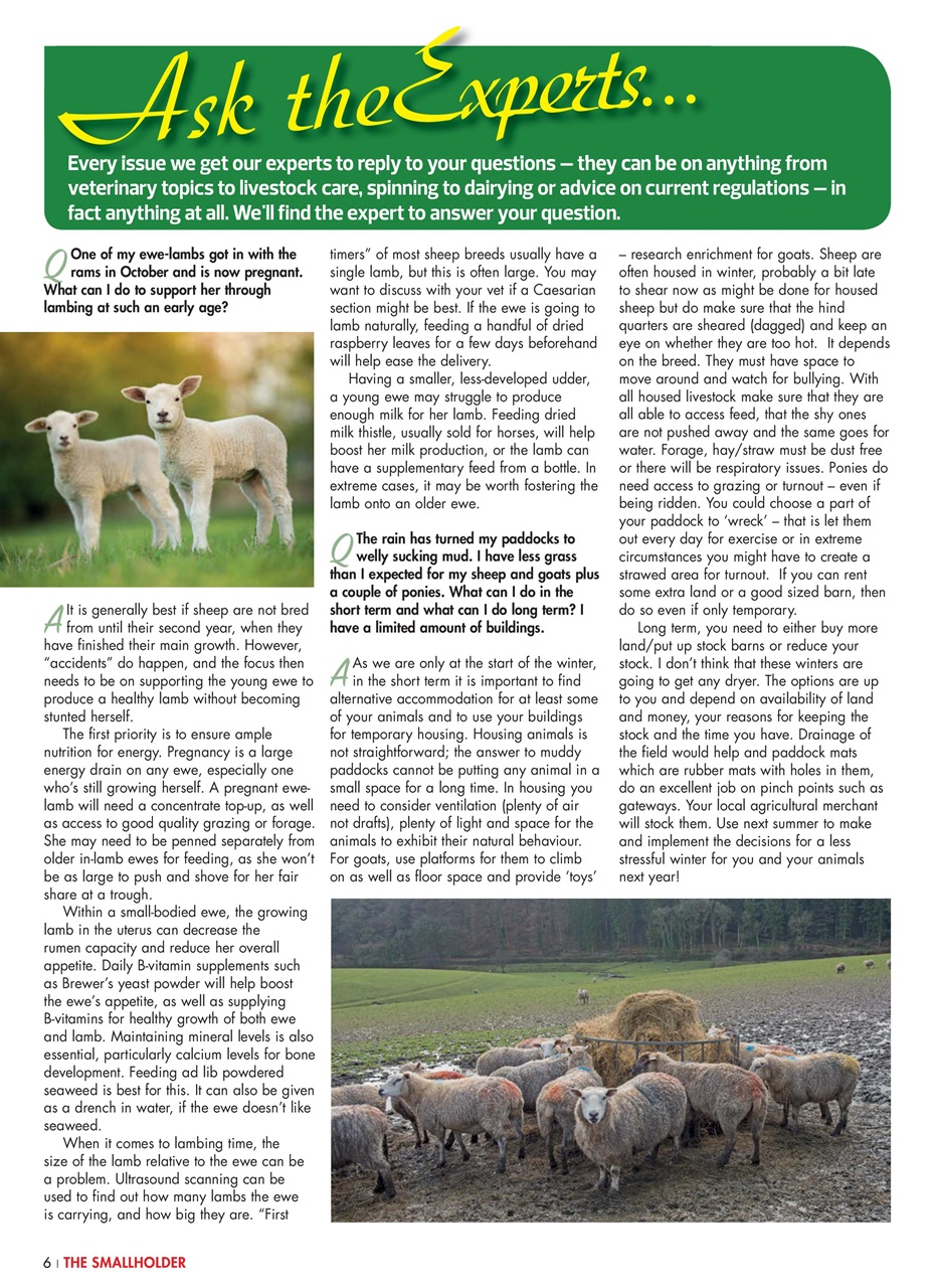 The Smallholder Preview Pages