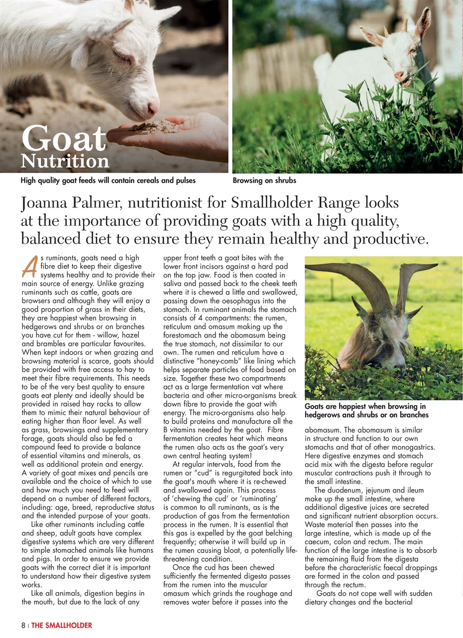 The Smallholder Preview Pages