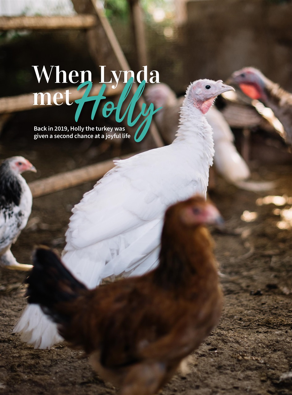 Vegan Life Preview Pages