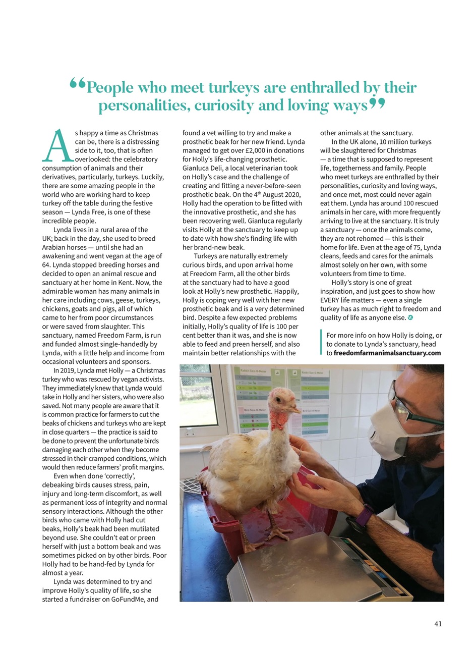 Vegan Life Preview Pages