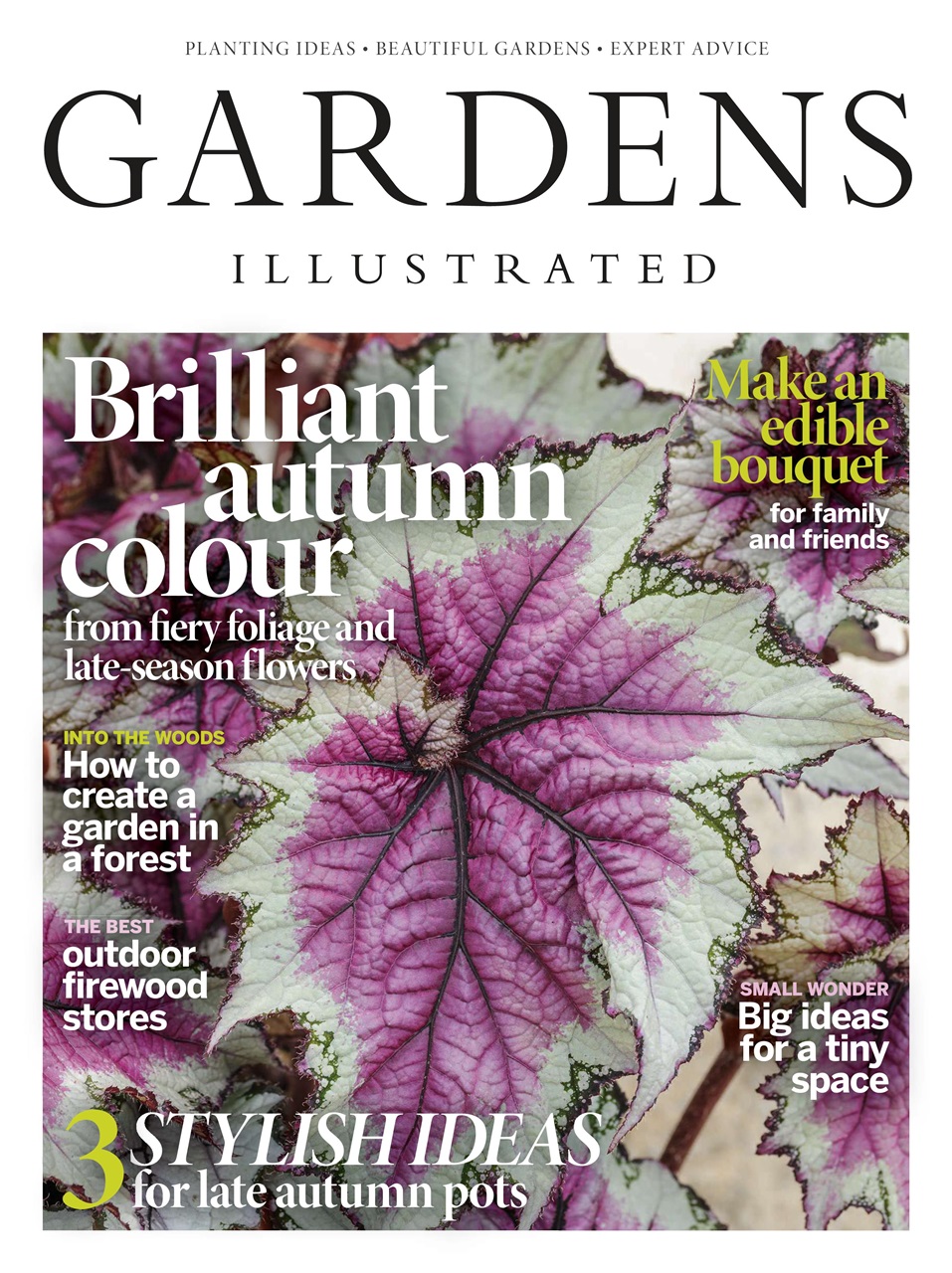 Gardens Illustrated Preview Pages
