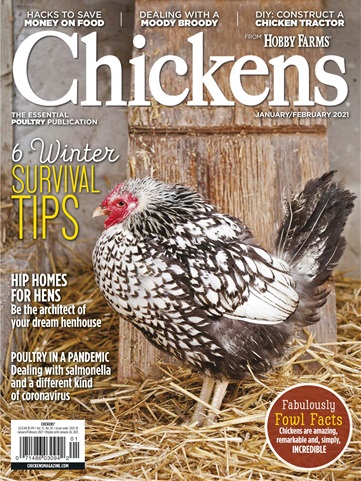 Chickens Magazine issue JanFeb 2021