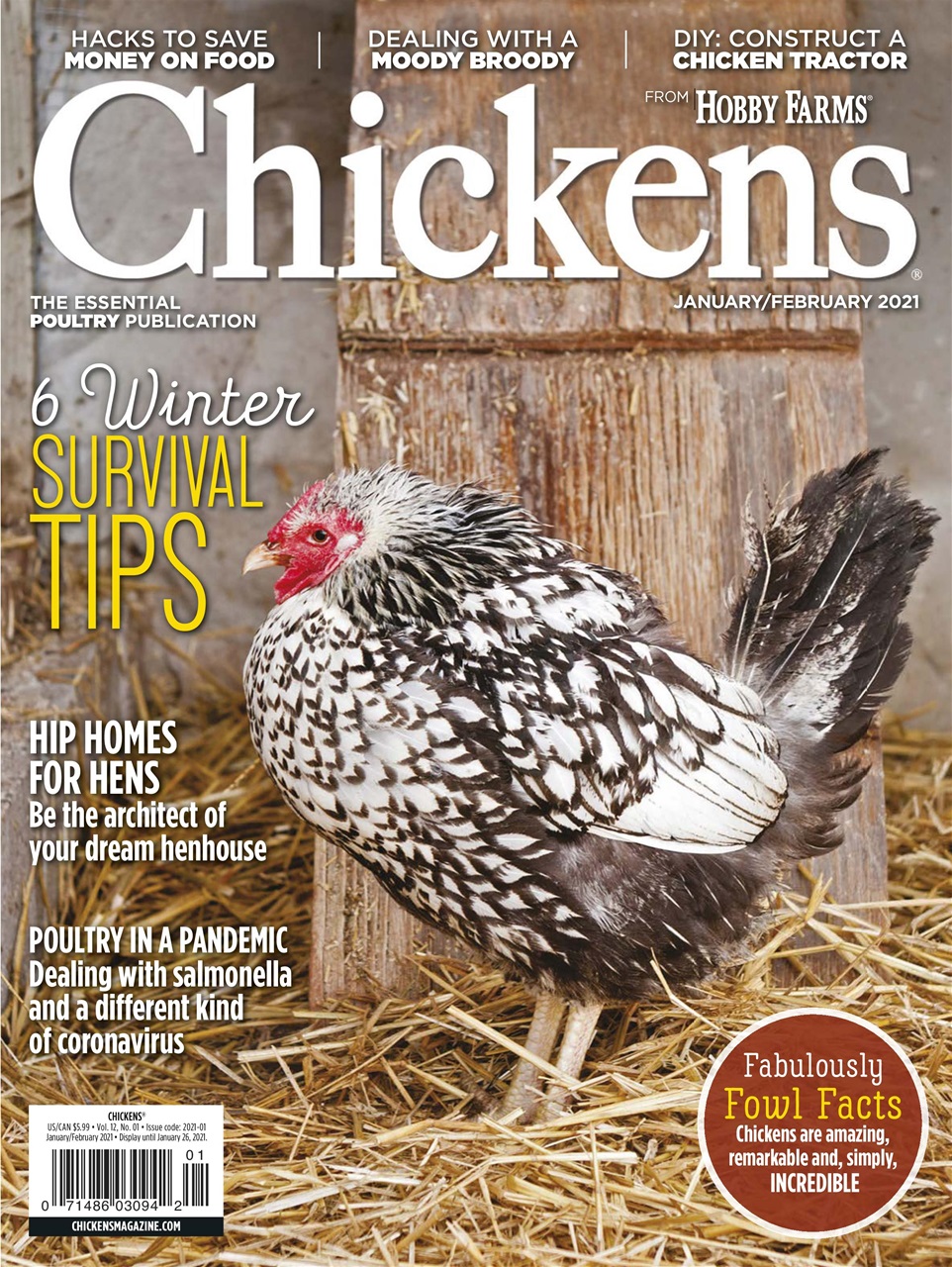 Chickens Magazine Preview Pages