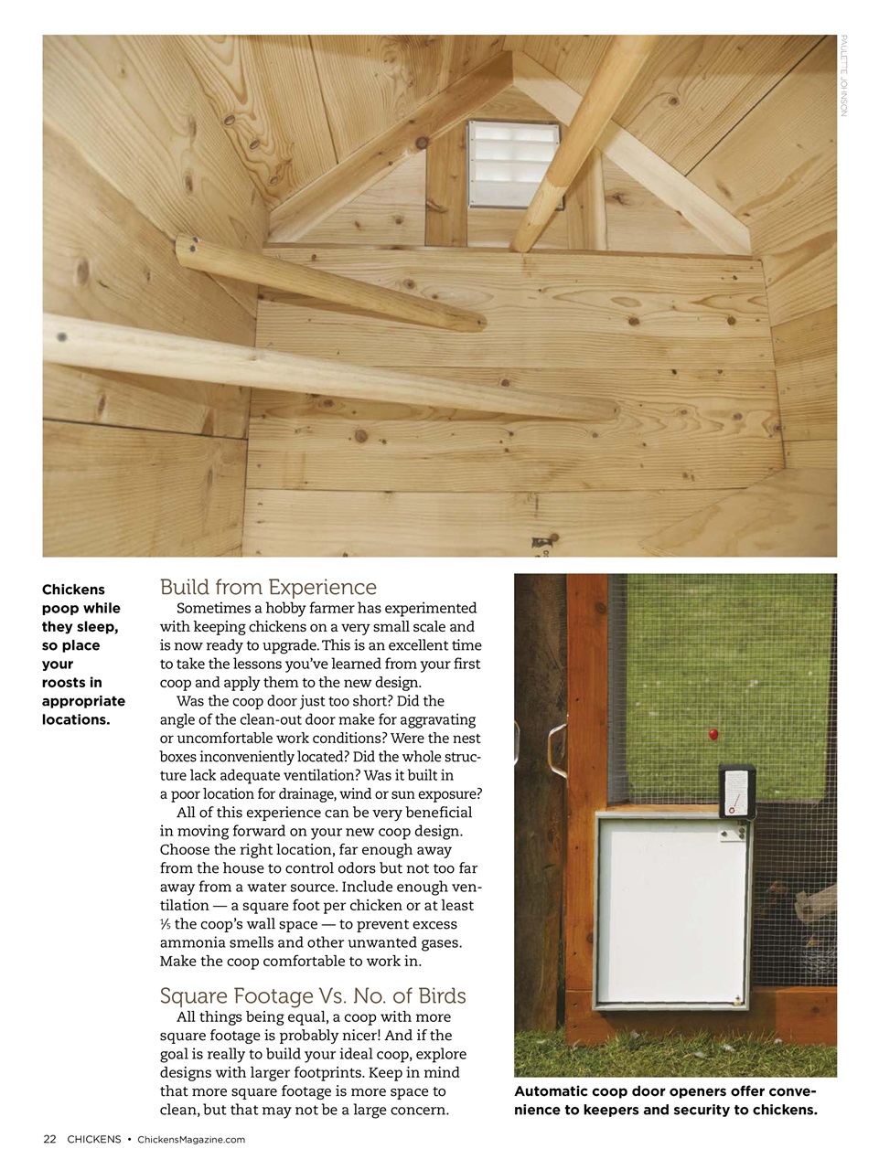 Chickens Magazine Preview Pages