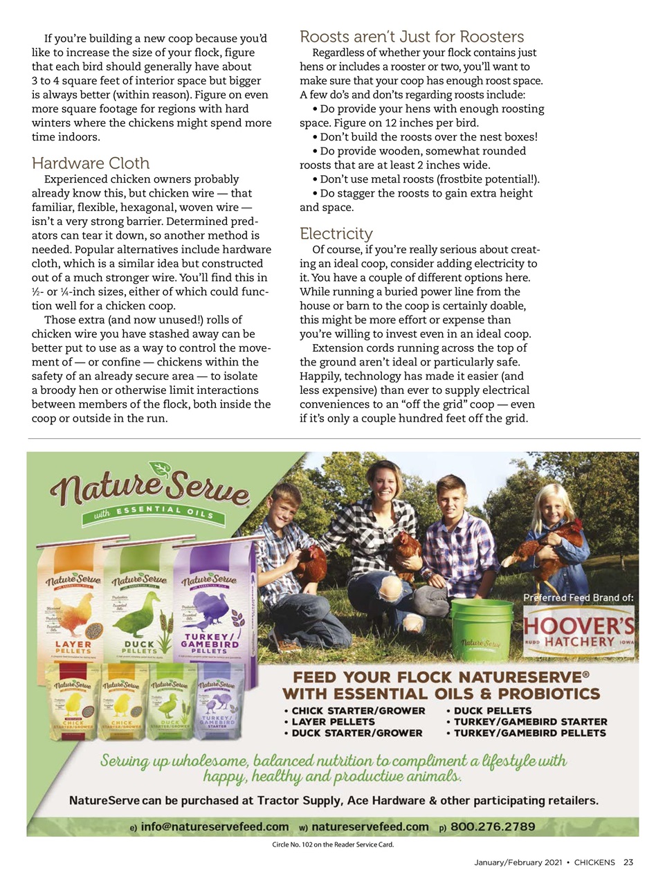 Chickens Magazine Preview Pages