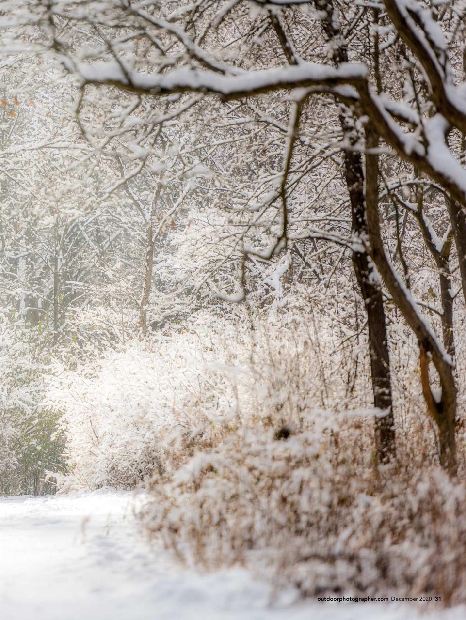 Outdoor Photographer Preview Pages