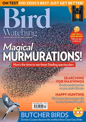 Bird Watching issue Dec 20