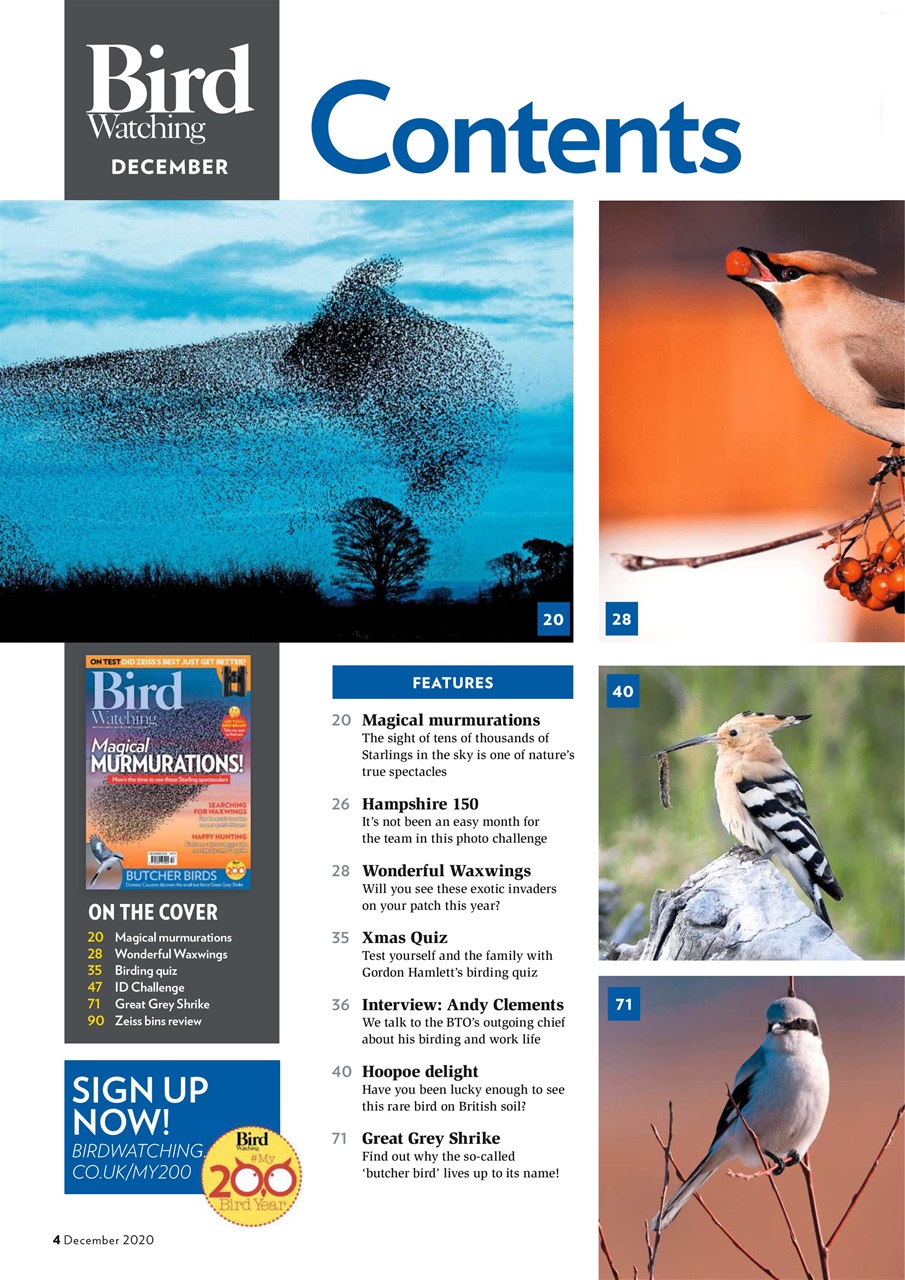 Bird Watching Preview Pages