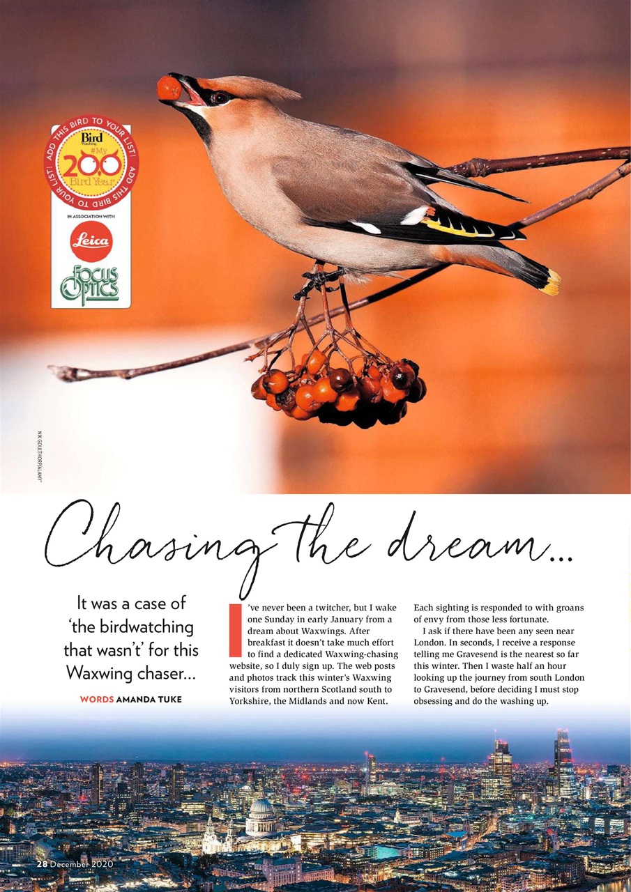 Bird Watching Preview Pages