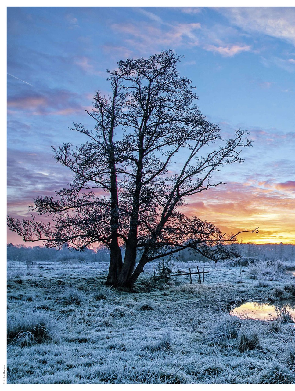 BBC Countryfile Magazine Preview Pages