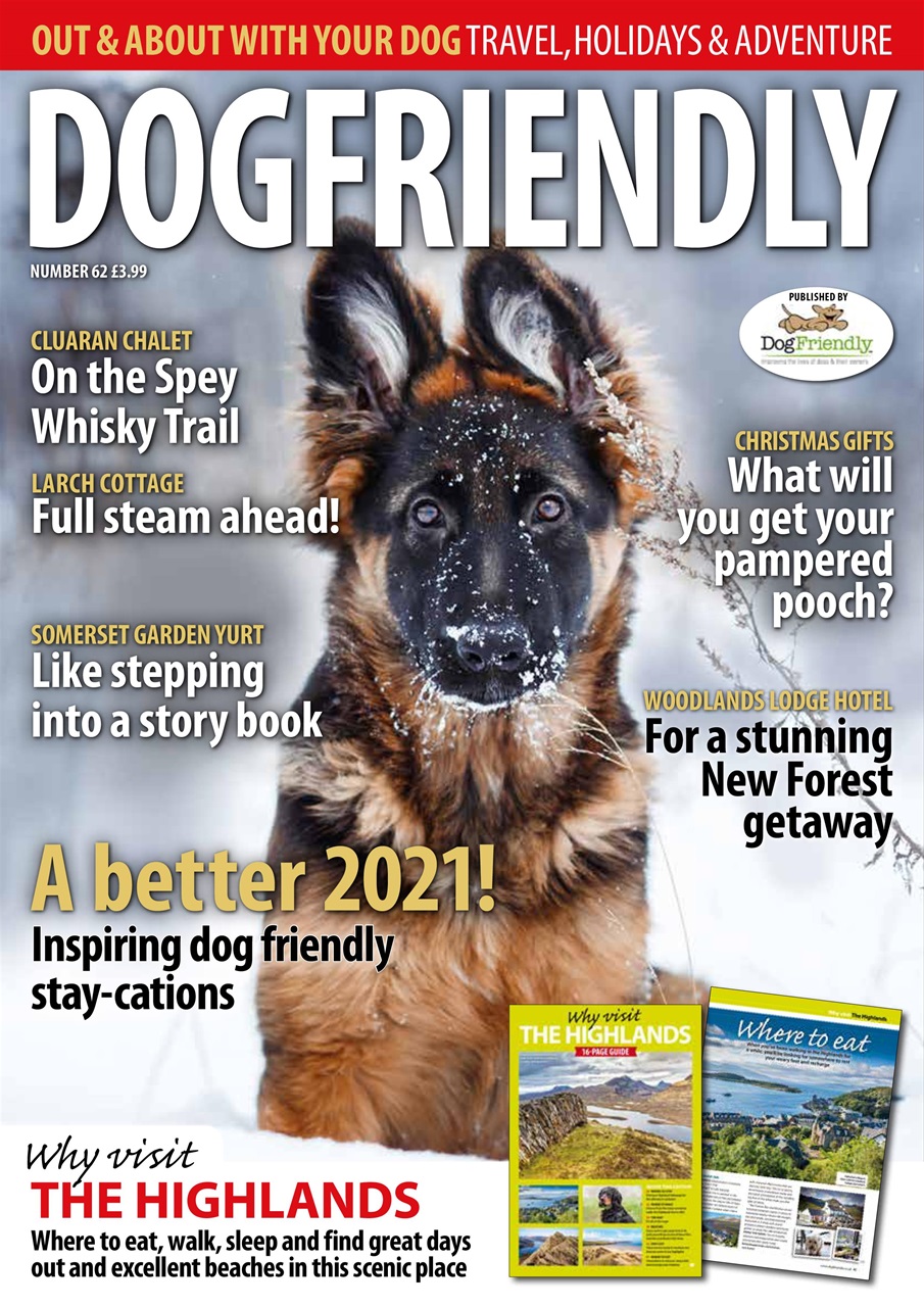 Dog Friendly Preview Pages