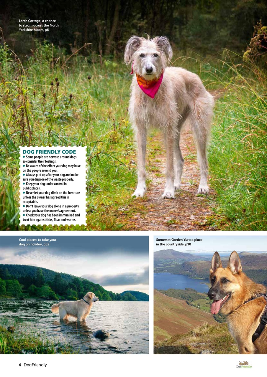 Dog Friendly Preview Pages