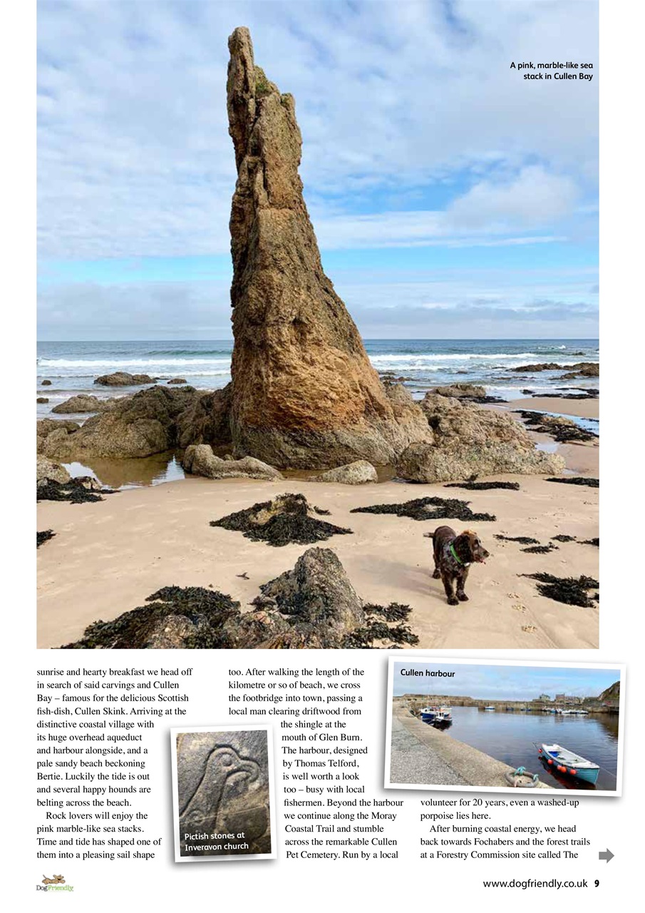 Dog Friendly Preview Pages