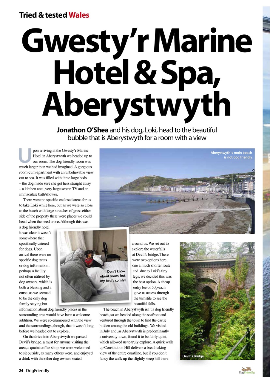 Dog Friendly Preview Pages