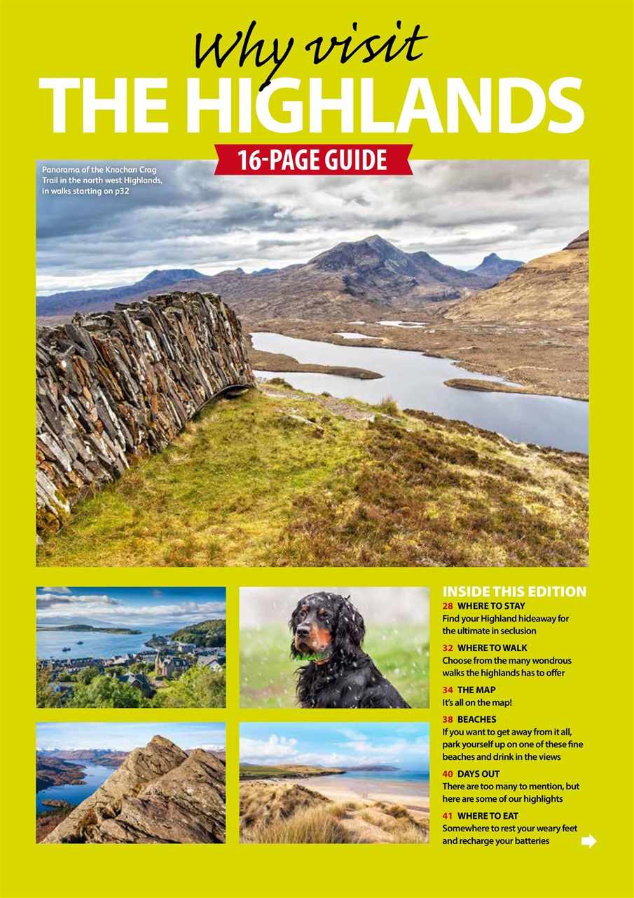 Dog Friendly Preview Pages