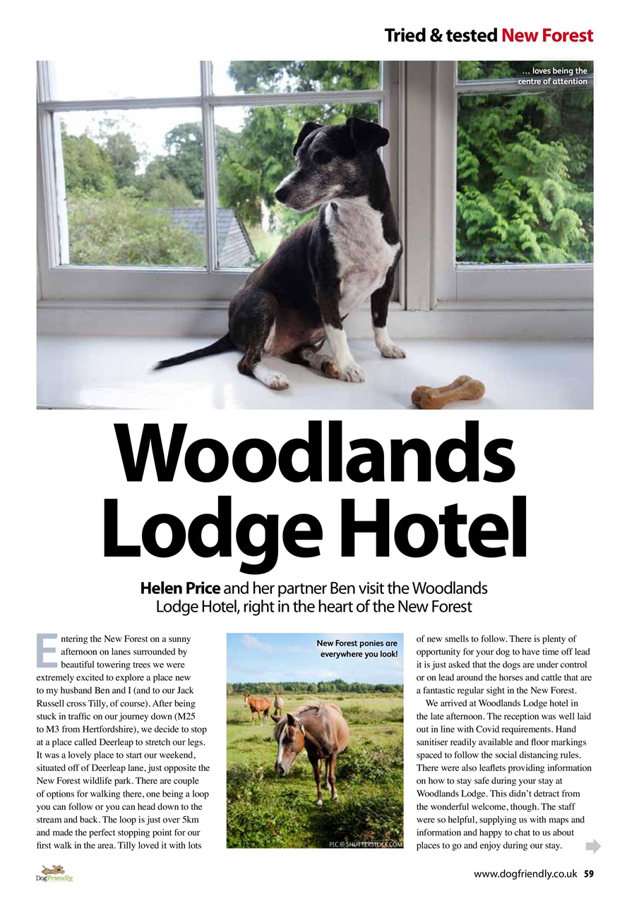 Dog Friendly Preview Pages